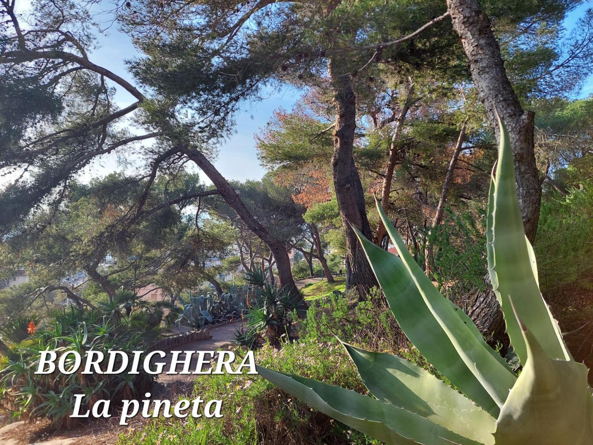 Emozioni Casa Vista Mare Bordighera Exterior foto